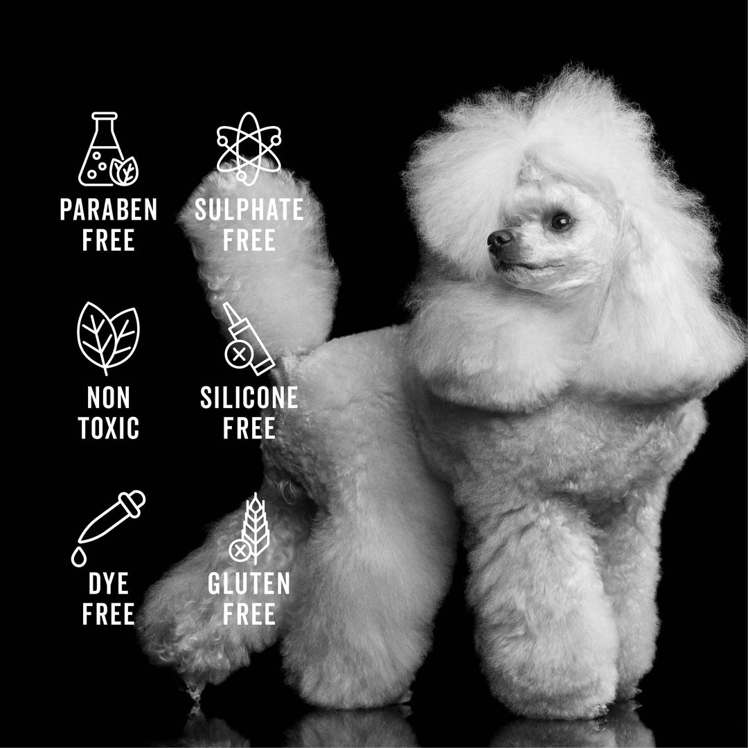 THE NON SHEDDER | SHAMPOO FOR DOGS WITH HAIR