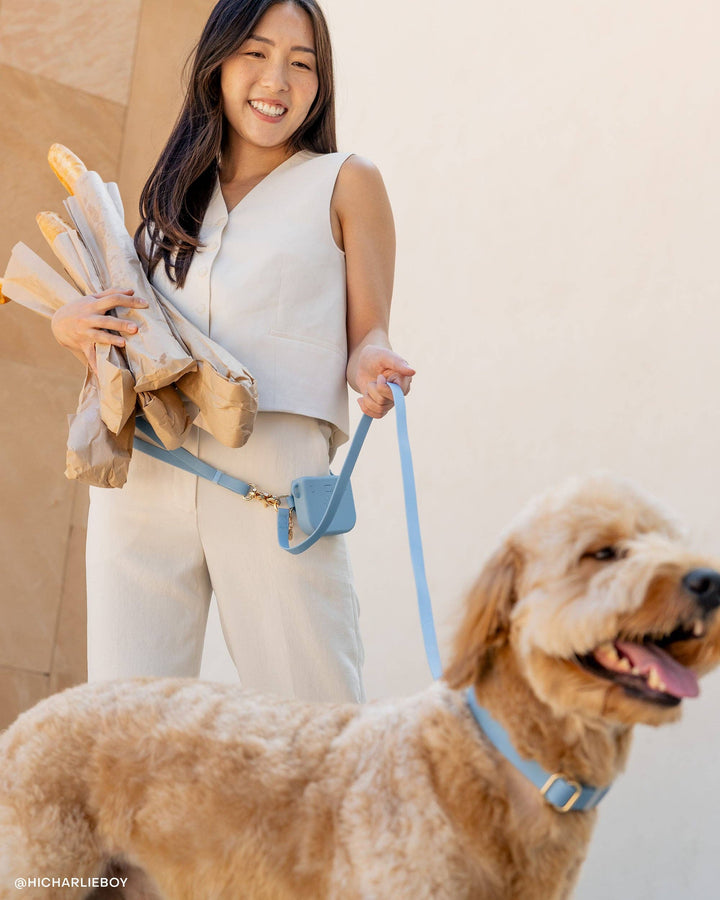 Snap Dog Treat Pouch