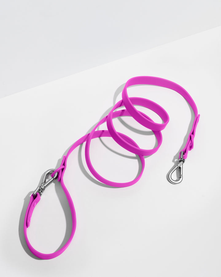 Adjustable Dog Leash