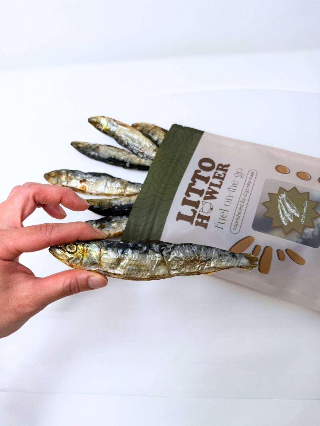 Whole Sardines | 12 Count