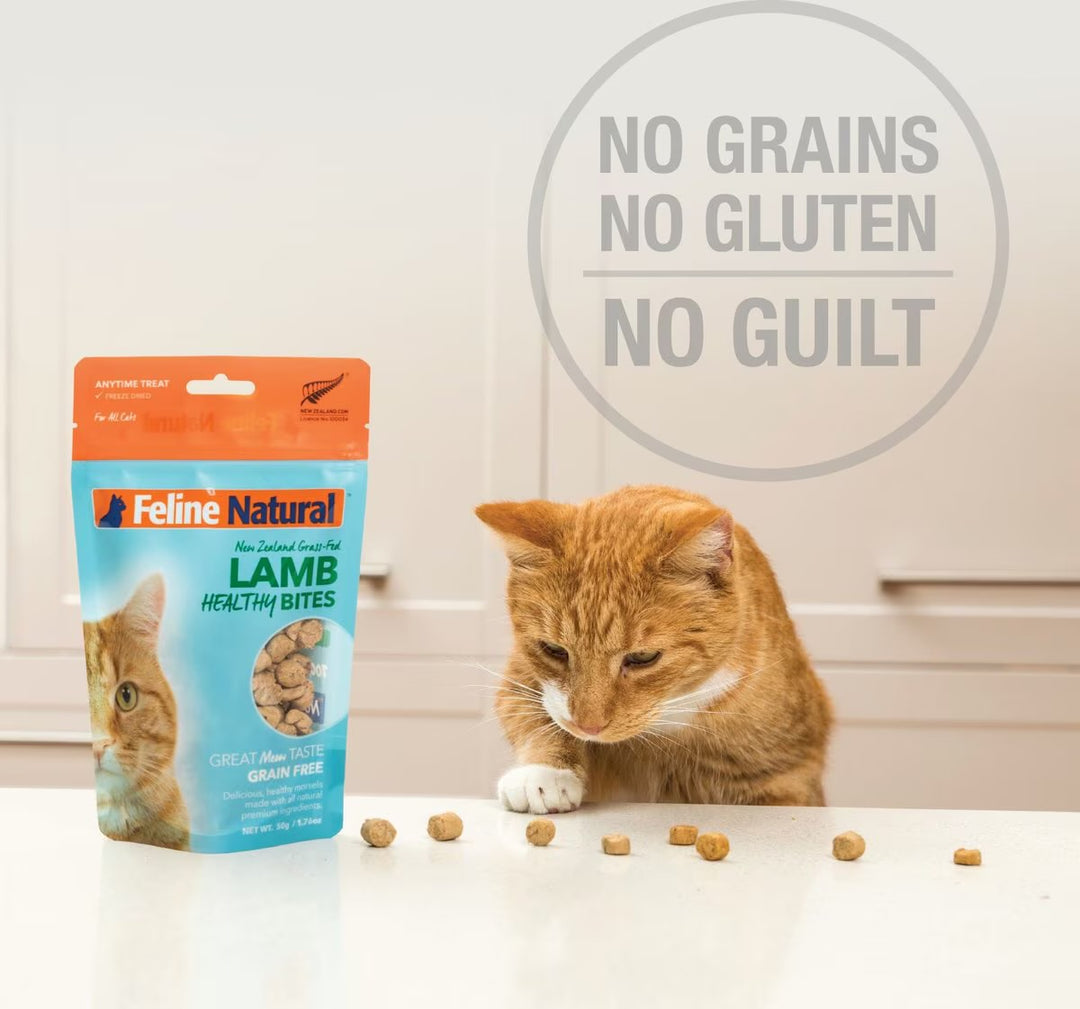 Feline Natural Lamb & Organs Healthy Bites