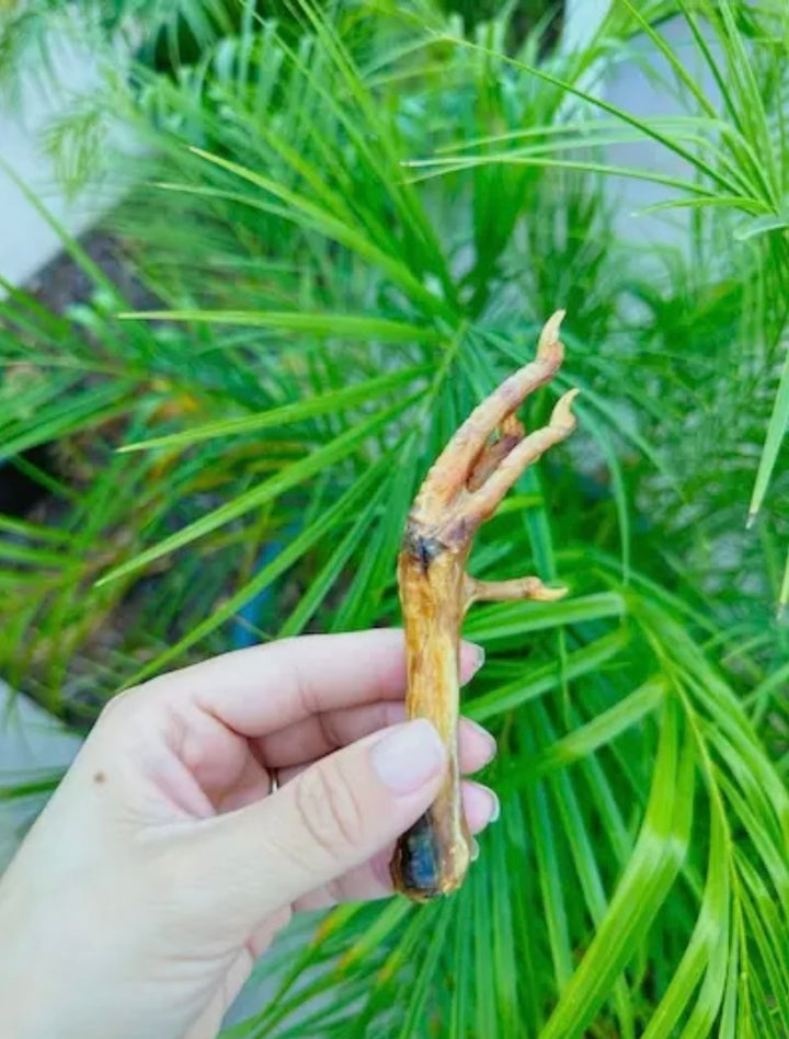 Real.Dog Chicken Feet (pack of 5)