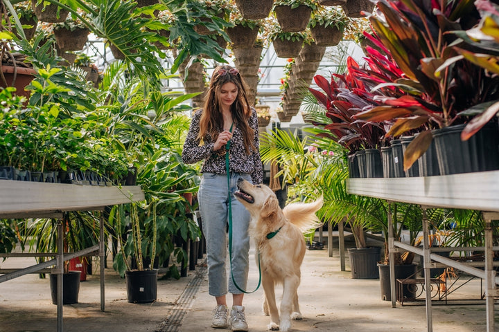 4-in-1 Wide Hands-Free Convertible Cloud Leash (3/4")