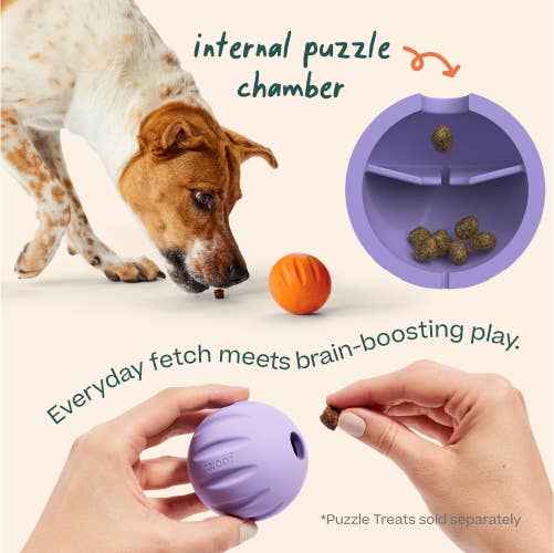 FlyBall 3 Pack
