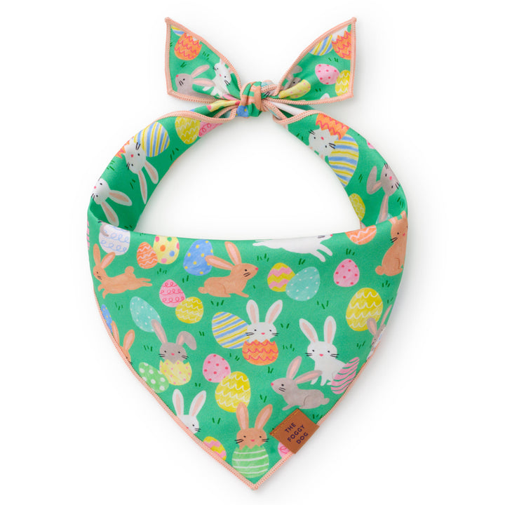 Hoppy Easter Reversible Dog Bandana