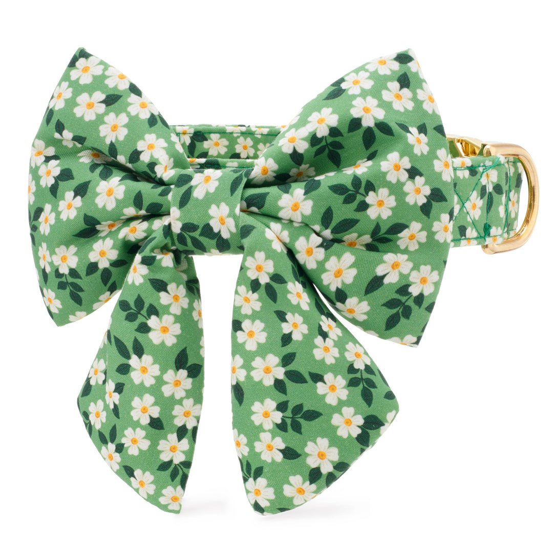 Dainty Daisies Lady Dog Bow