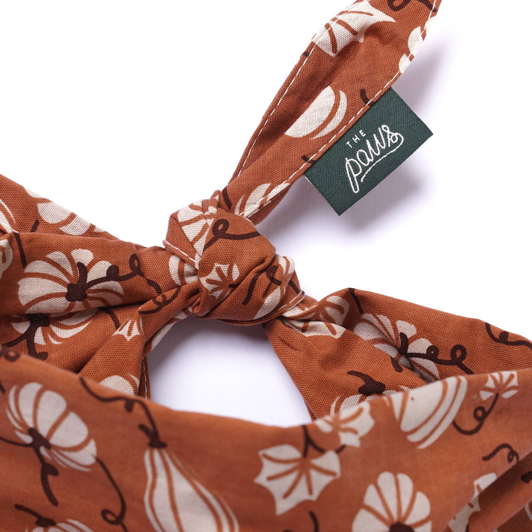 Harvest Fall Dog Bandana