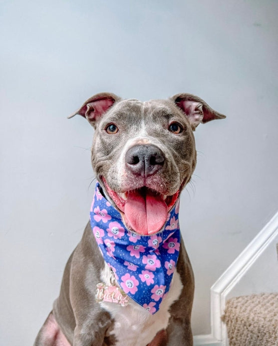 Smiley Flower Bandana