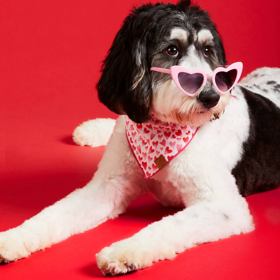 Heart Throb Valentine's Day Bandana