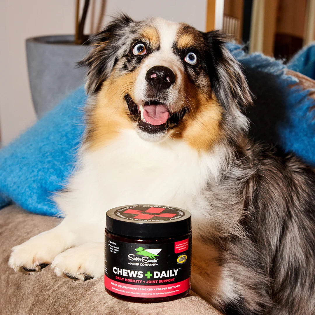 Chews + Daily Mobility Support Hemp Chew