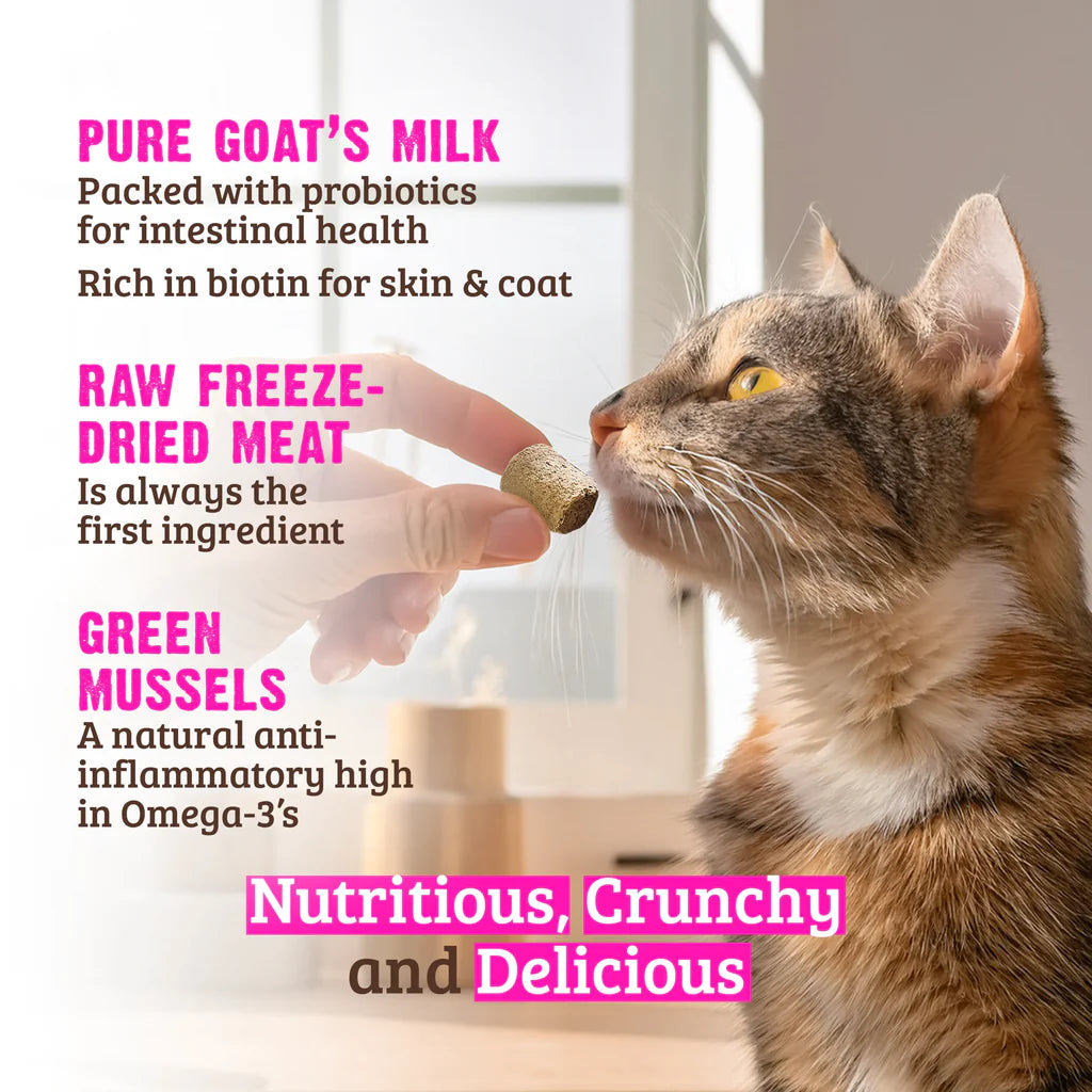 RAWZ Wild Caught Salmon, Goat’s Milk, & Green Mussels