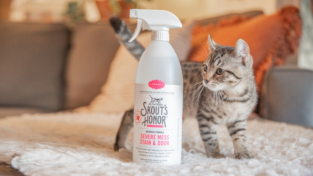 Severe Mess Stain & Odor Advanced Formula for Cats