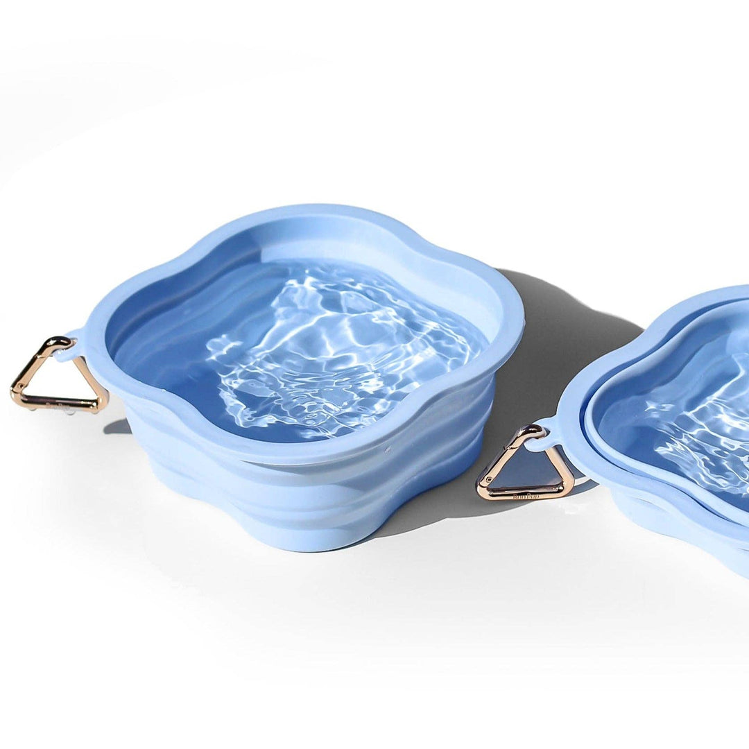 Collapsible Water Bowl