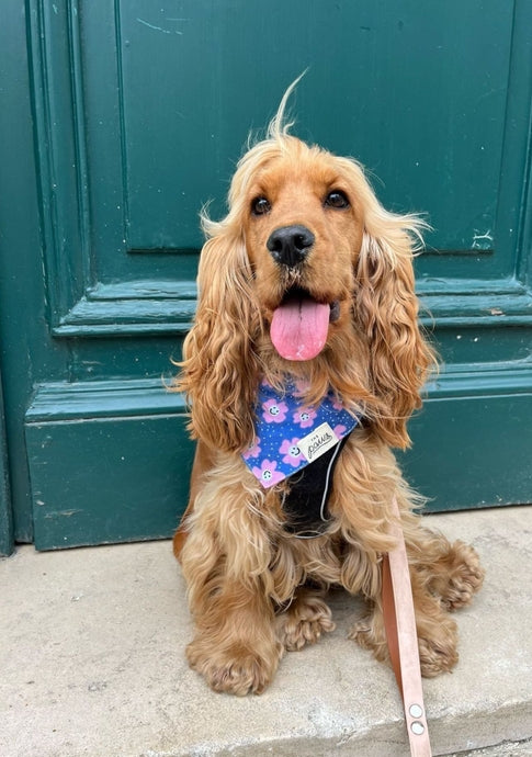 Smiley Flower Bandana