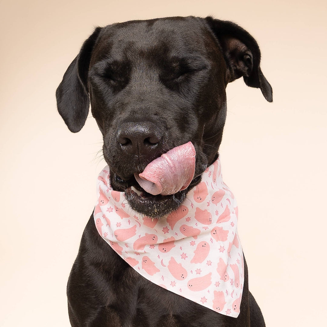 Pinkaboo Halloween Dog Bandana