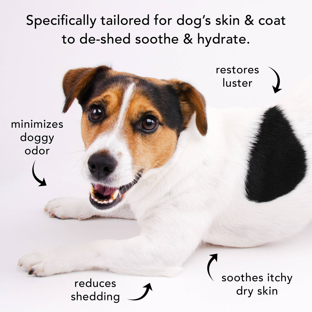 THE SHEDDER | SHAMPOO FOR DOGS WHO SHED