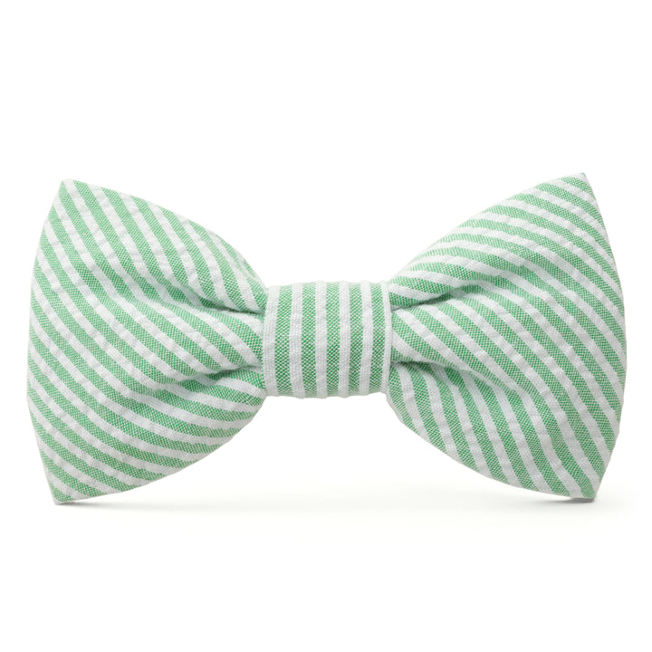 Green Seersucker Dog Bow Tie
