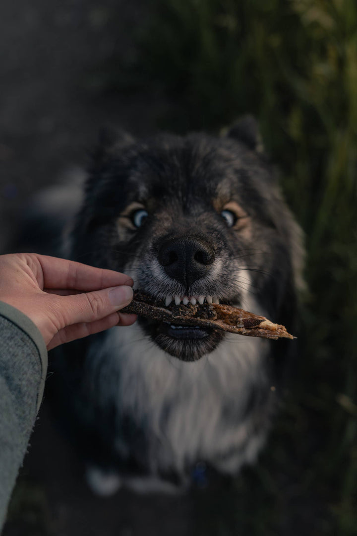 Lamb Green Tripe Sticks | 6 Sticks