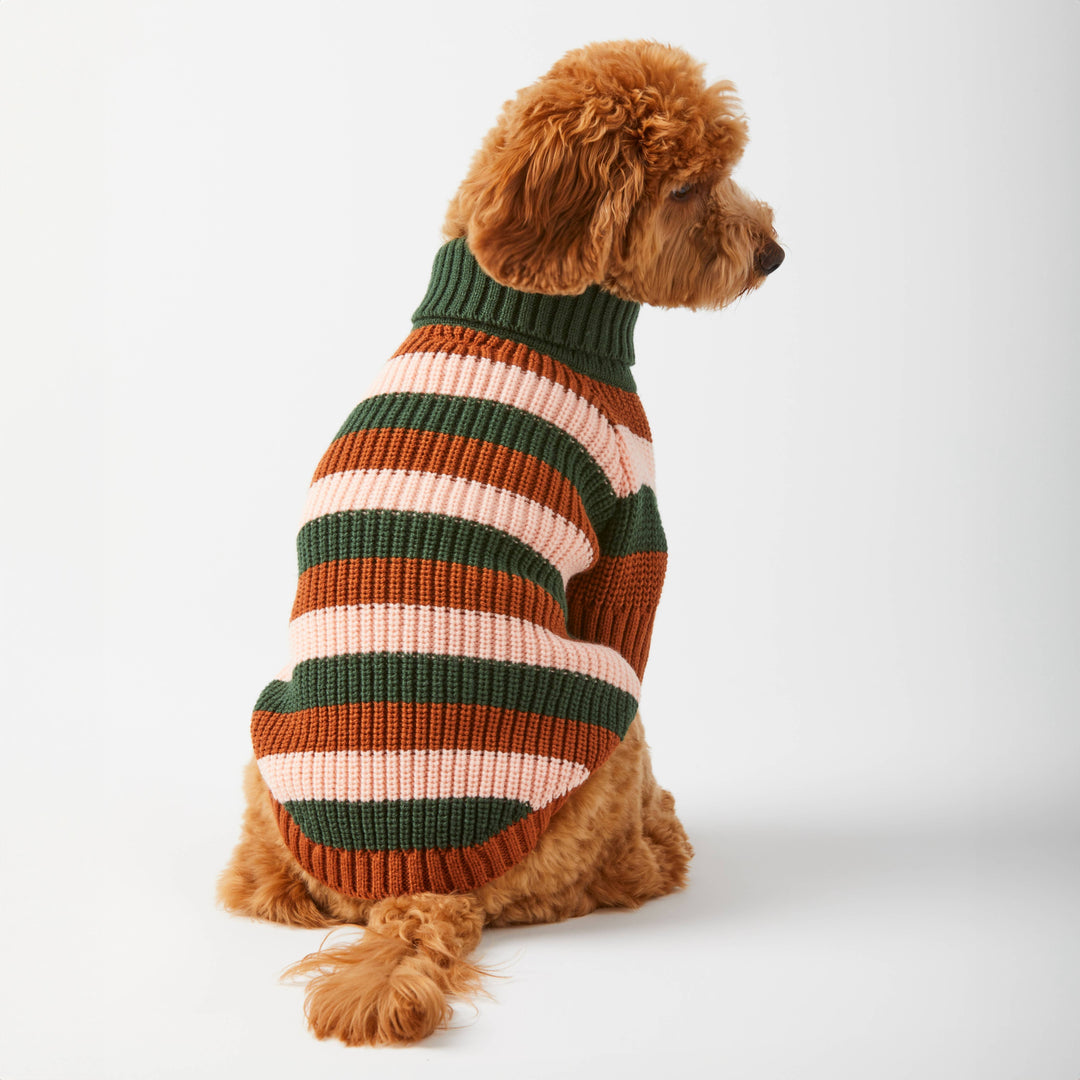 Bold Stripe Dog Sweater