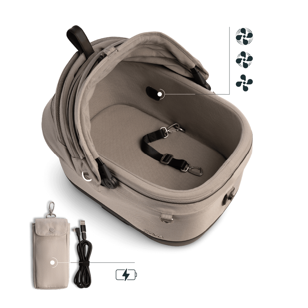 Maeve iso Wind