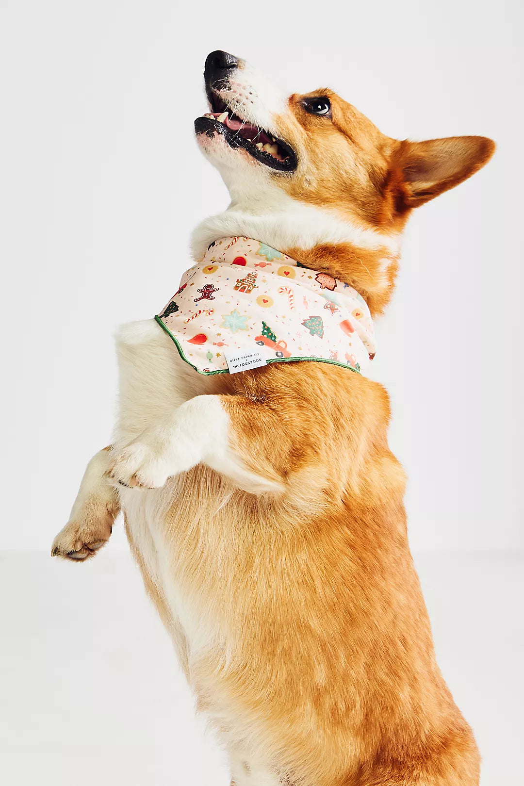 Rifle Paper Co. x TFD Holiday Cookies Bandana