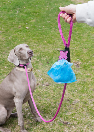 Poopy Loop Used Dog Waste Bag Holder