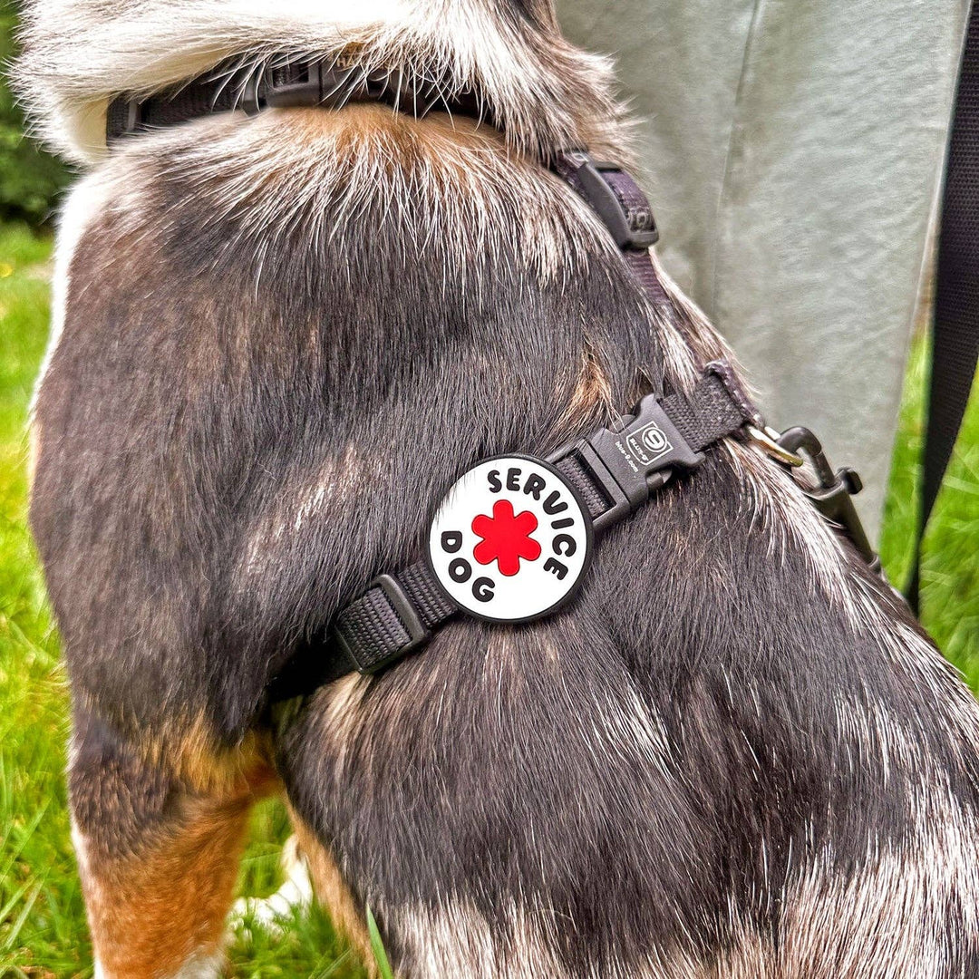 JIBY Dog Badge