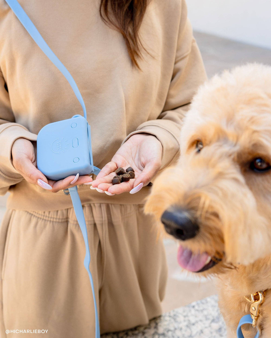 Meadow Green Snap Dog Treat Pouch