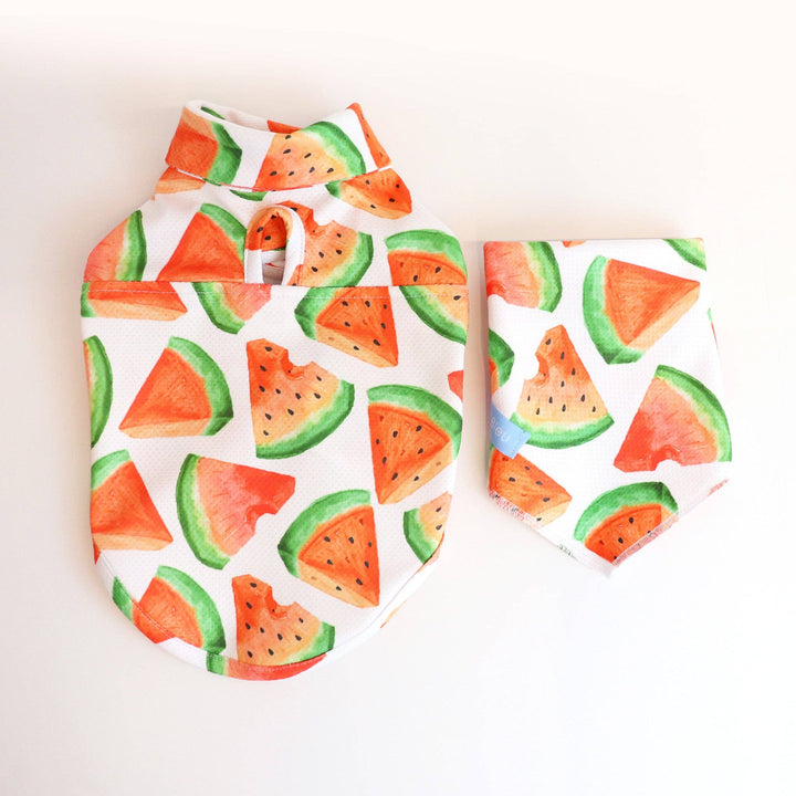 Watermelon Cooling Shirt