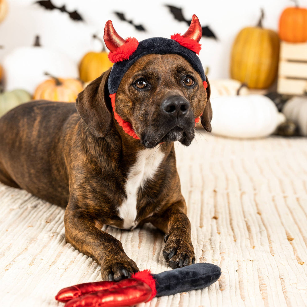 CUTE LIL DEVIL