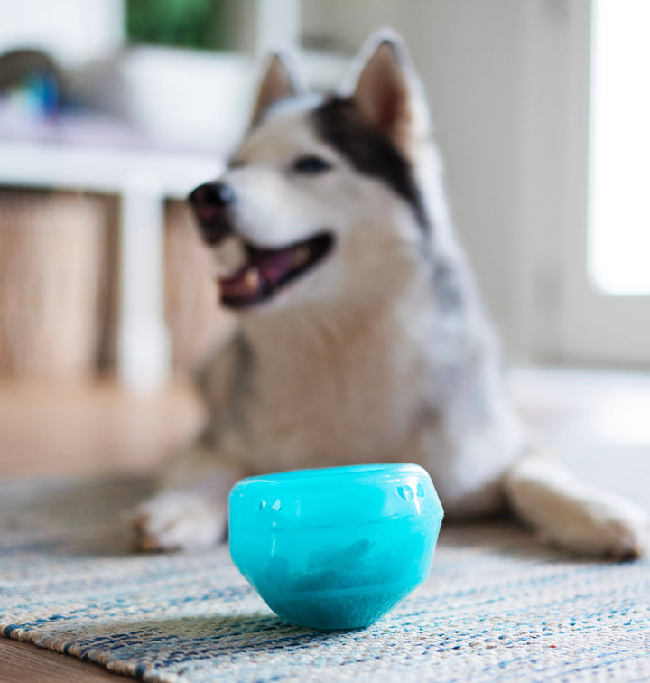 Totally Pooched Stuff'n Wobble Ball