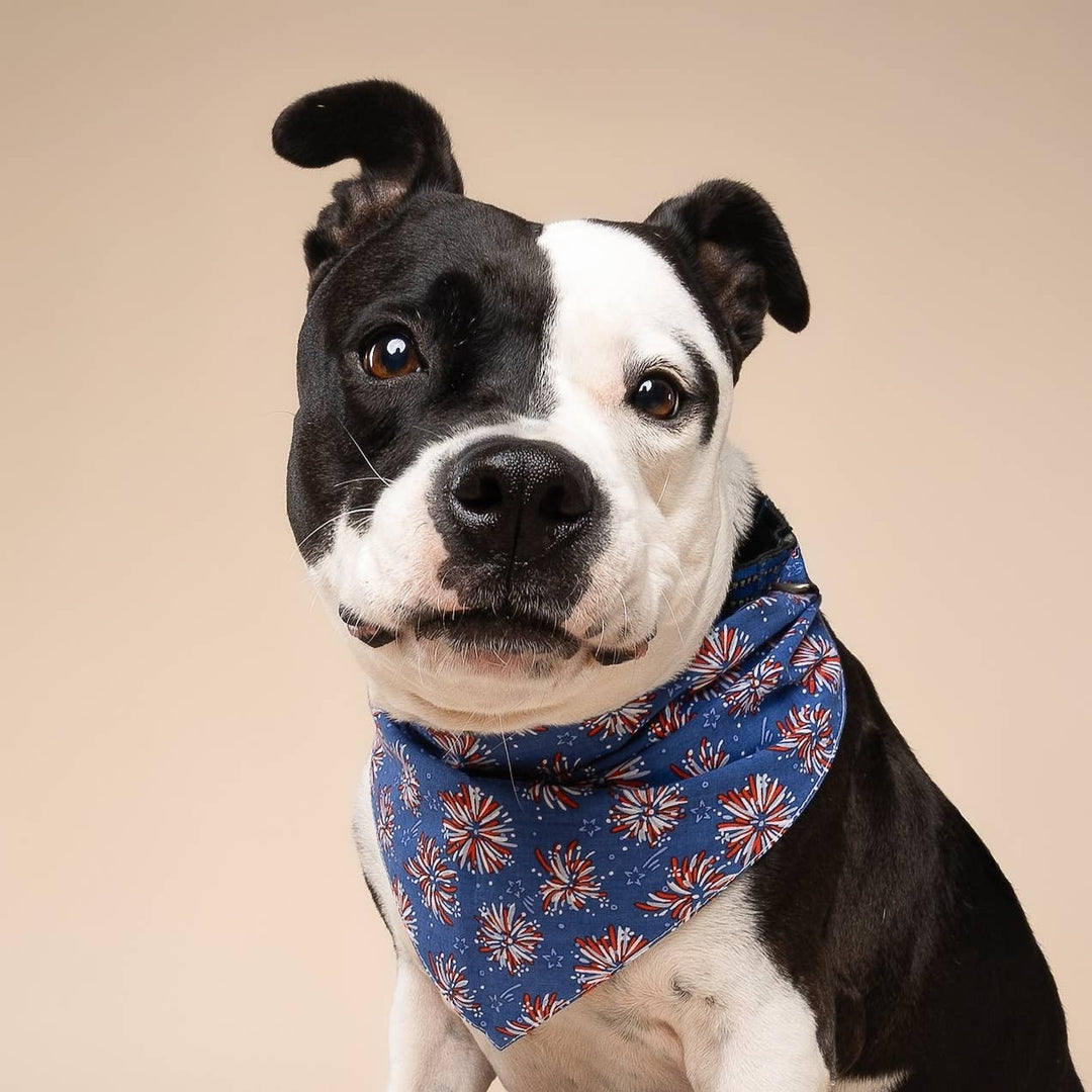 Firecrackers Dog Bandana