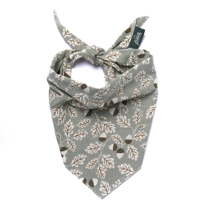 Boone Dog Bandana