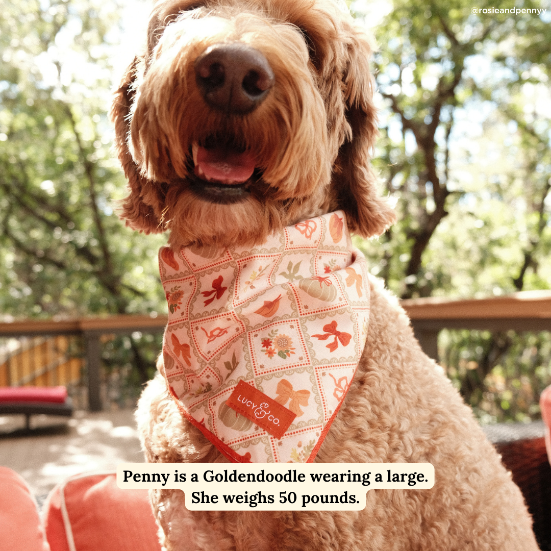 Cozy Cottage Bandana