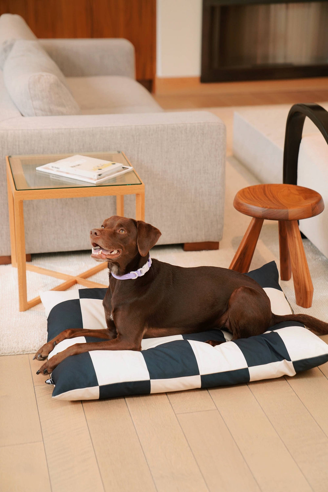 The Fritz Dog Bed | Recycled | Machine Washable