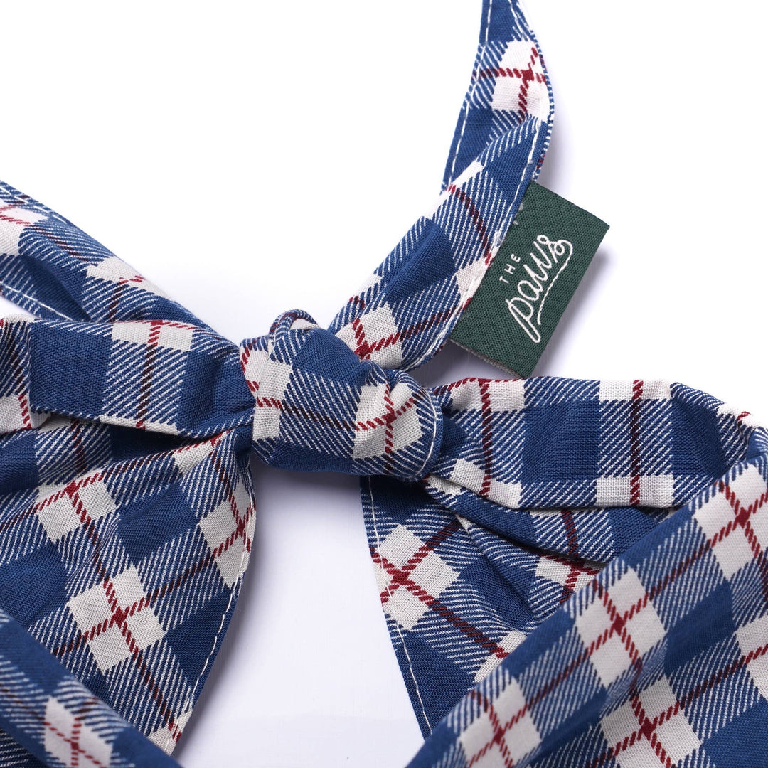 Apres  Dog Bandana