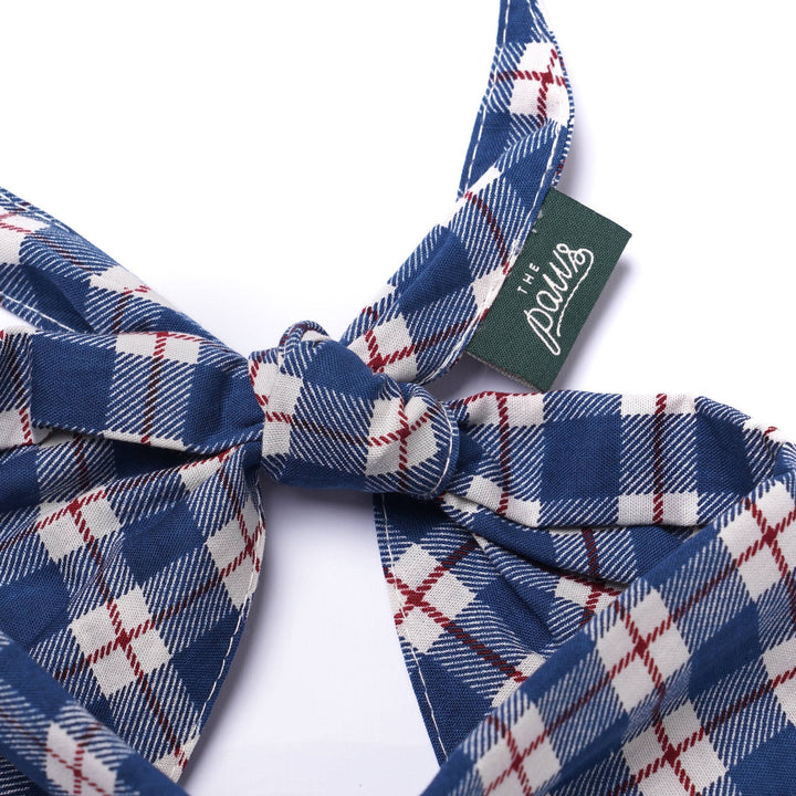Apres  Dog Bandana