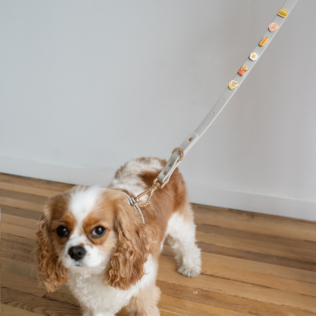 Moodies 4-in-1 Leash