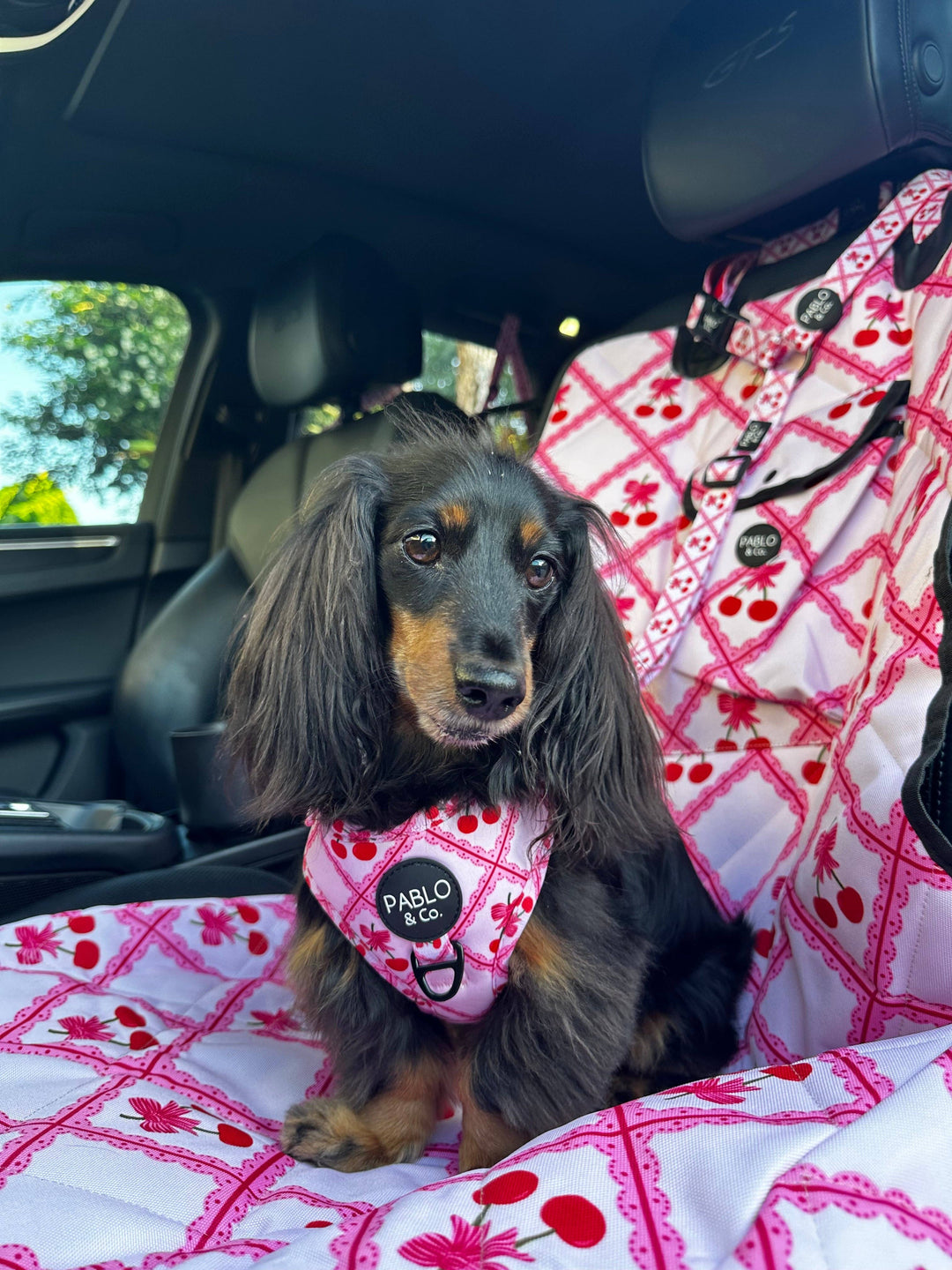 Ma chérie: Headrest Car Restraint