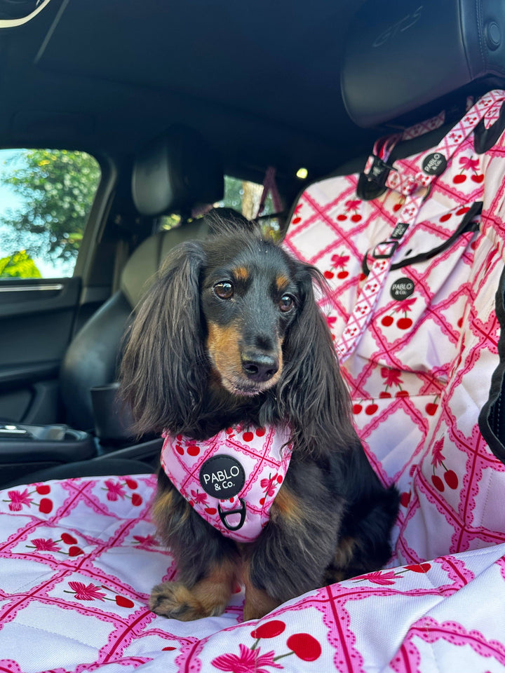 Ma chérie: Headrest Car Restraint