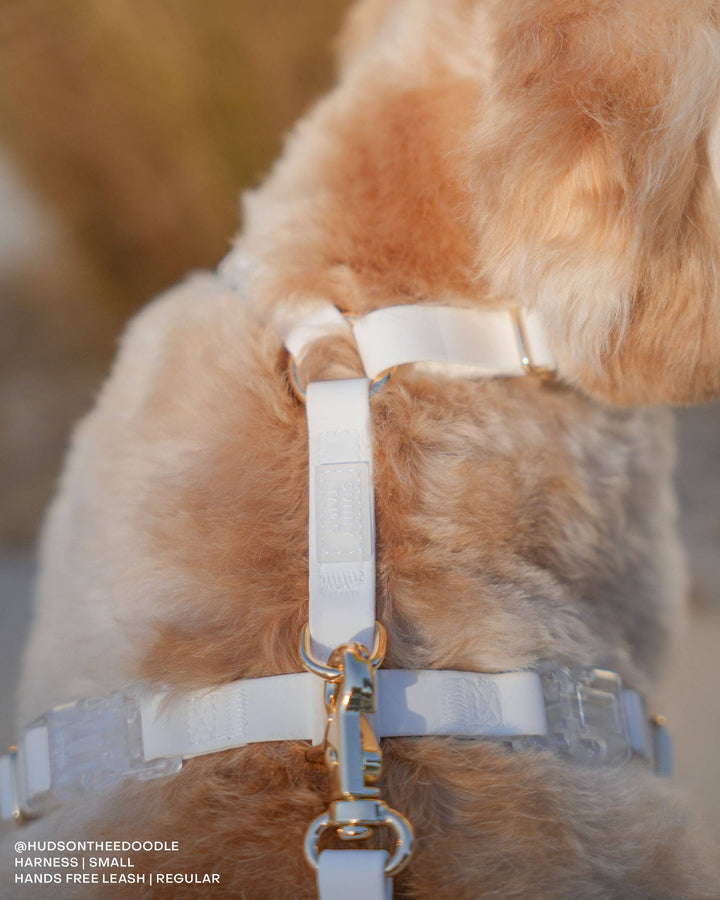 Cloud Lite Harness