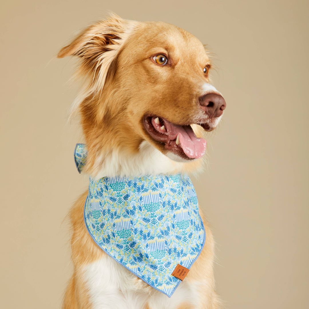 Flora Menorah Bandana