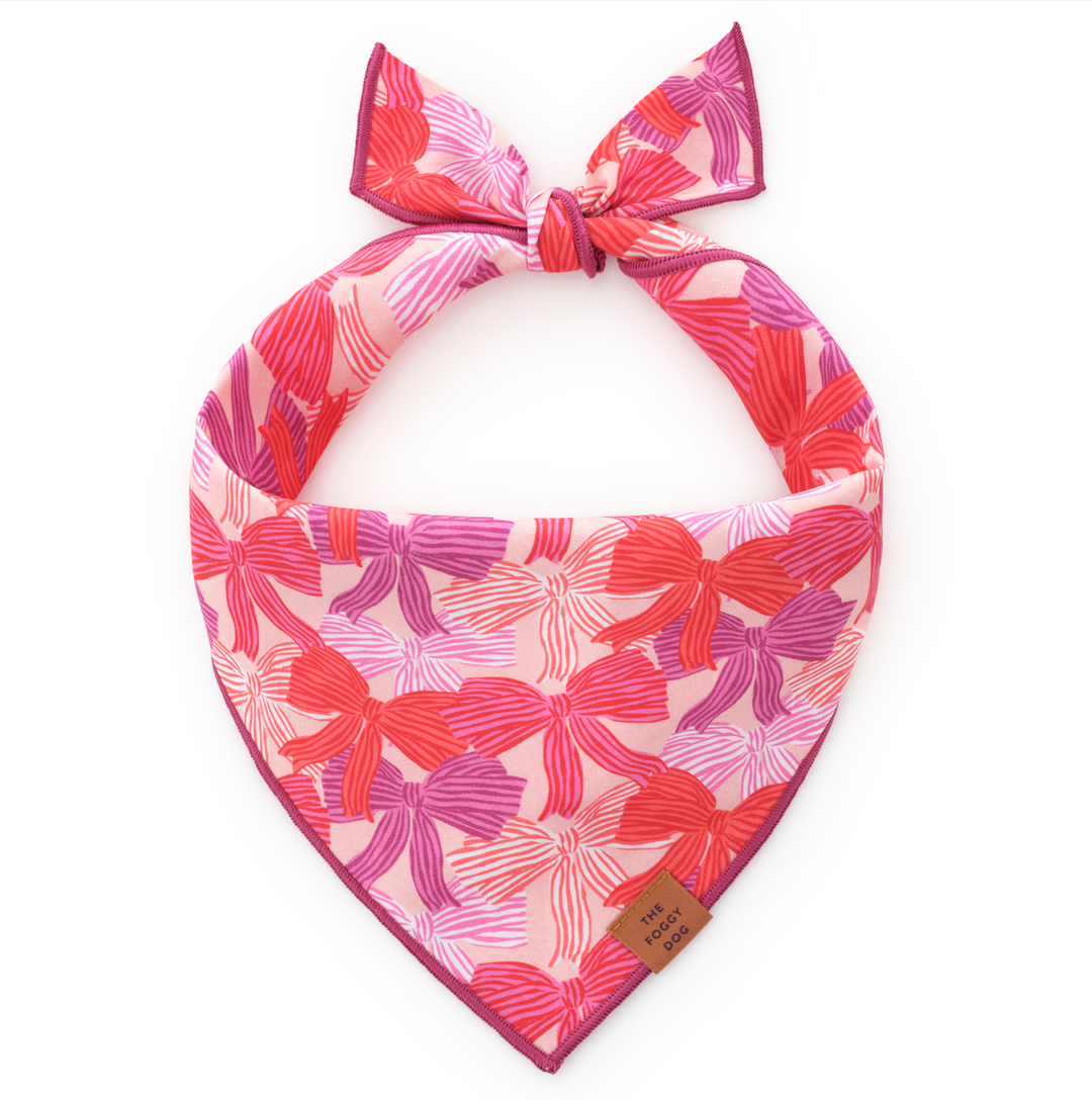 Take a Bow Dog Bandana