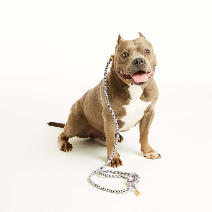 Black Diamond Simple Slip Lead™