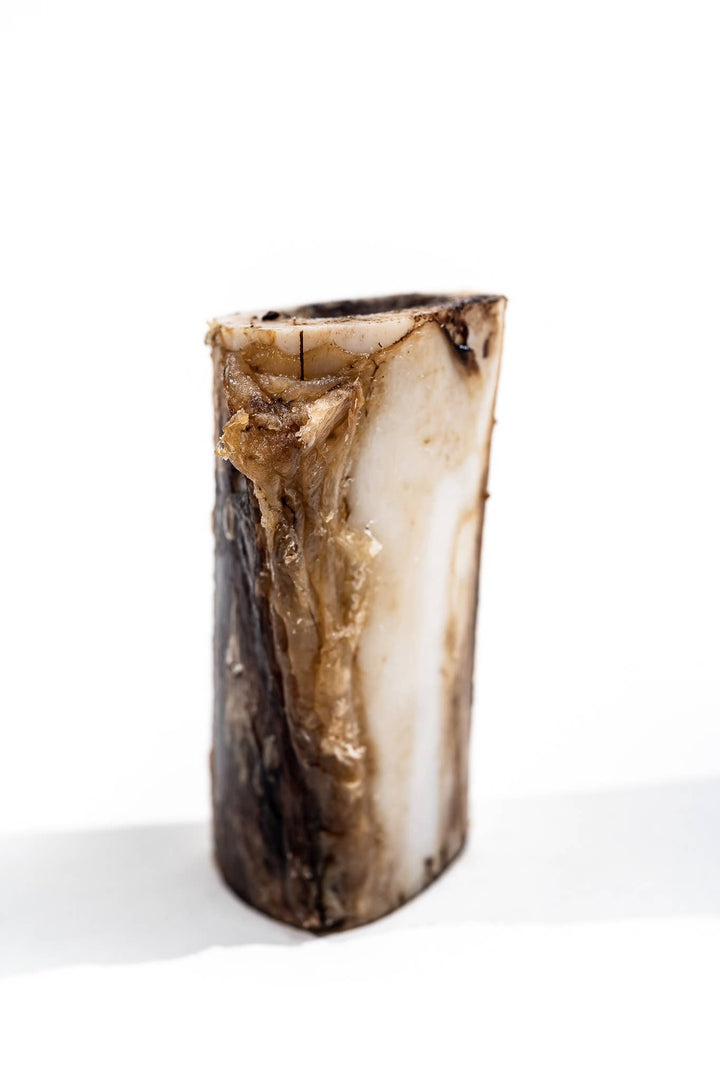 Bison Marrow Bone