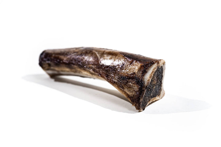 Bison Marrow Bone