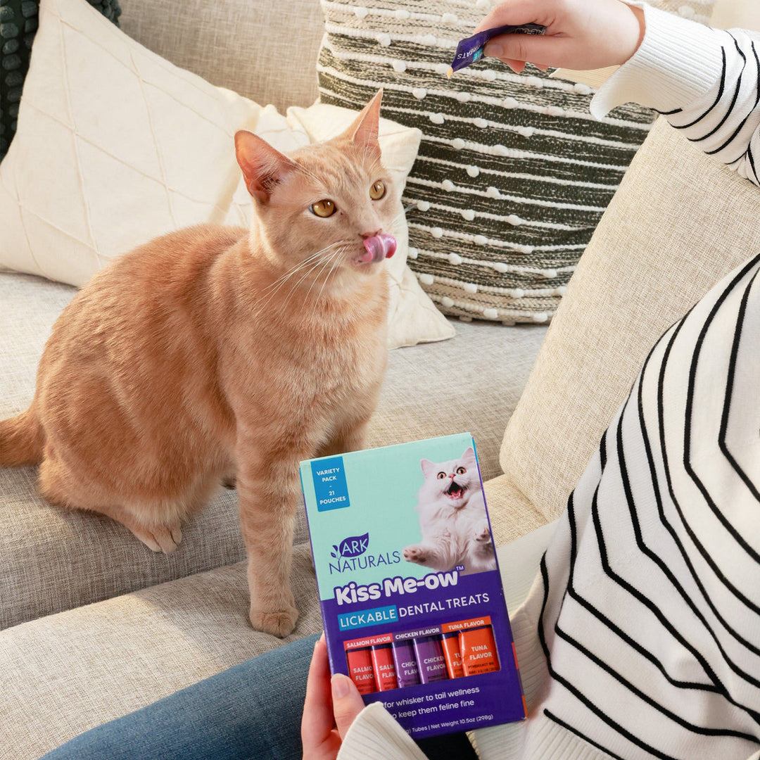 Kiss Me-Ow Lickable Dental Treats - Variety Pack