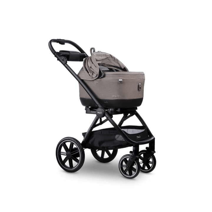 Maeve iso Wind + Roscoe Trek