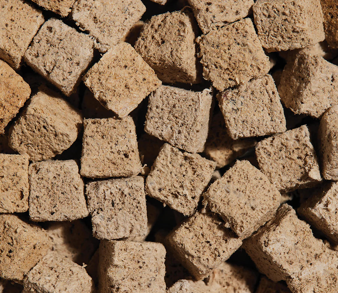 Open Farm Freeze Dried Raw Kitty Cubes Salmon & Mackeral