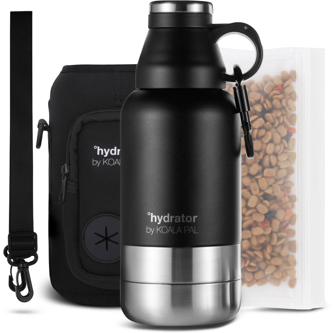 Travel Water Bottle & Bag (32 oz)